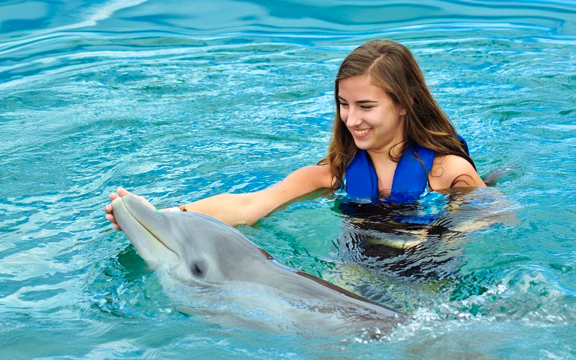 Pattaya Dolphinarium and Mini Siam Pattaya Combo Ticket
